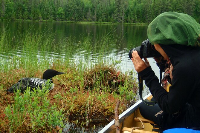 Algonquin Park 4-Day Deluxe Camping & Canoeing Adventure - The guide and the food make a difference