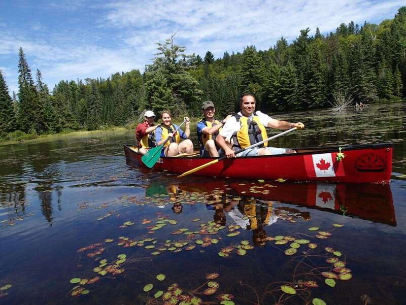 Algonquin Park: Guided Canoe Day Tour - Key points to know before you paddle