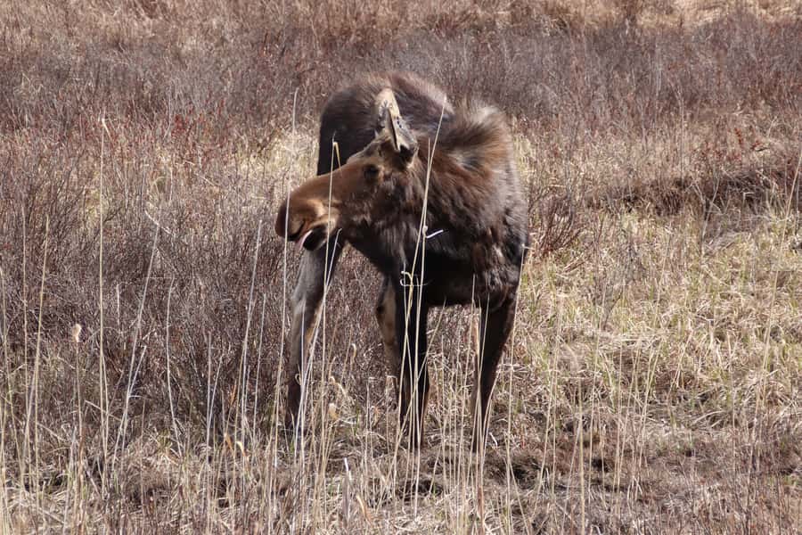 Algonquin Park Hiking: Adventure Tour from Toronto - How the guide chooses your Algonquin trails