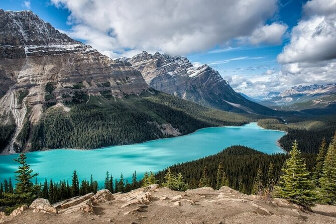 Along Icefields Parkway: Peyto Lake, Bow Lake & Columbia Icefield - Key points to know before booking