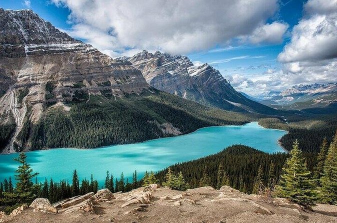 Along Icefields Parkway: Peyto Lake, Bow Lake & Columbia Icefield - Peyto Lake and the famous wolf-head view