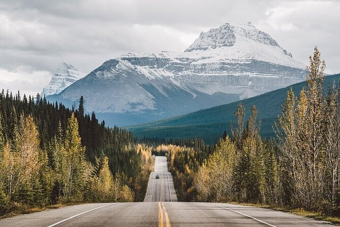 Along Icefields Parkway: Peyto Lake, Bow Lake & Columbia Icefield - Columbia Icefield and the Snowcoach decision