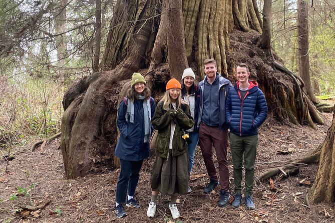 Ancient Trees of Vancouver Walking Tour - Starting at Ferguson Point in Stanley Park
