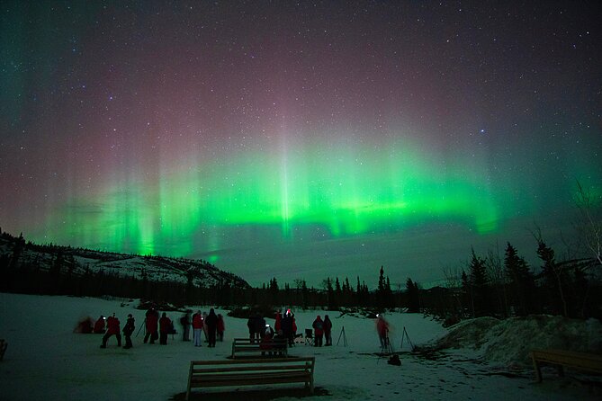 Arctic Day: Aurora Viewing Tour | late night - Value at $125.39 per person