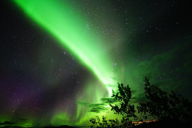 Arctic Day: Aurora Viewing Tour | late night - Who will enjoy this late-night tour