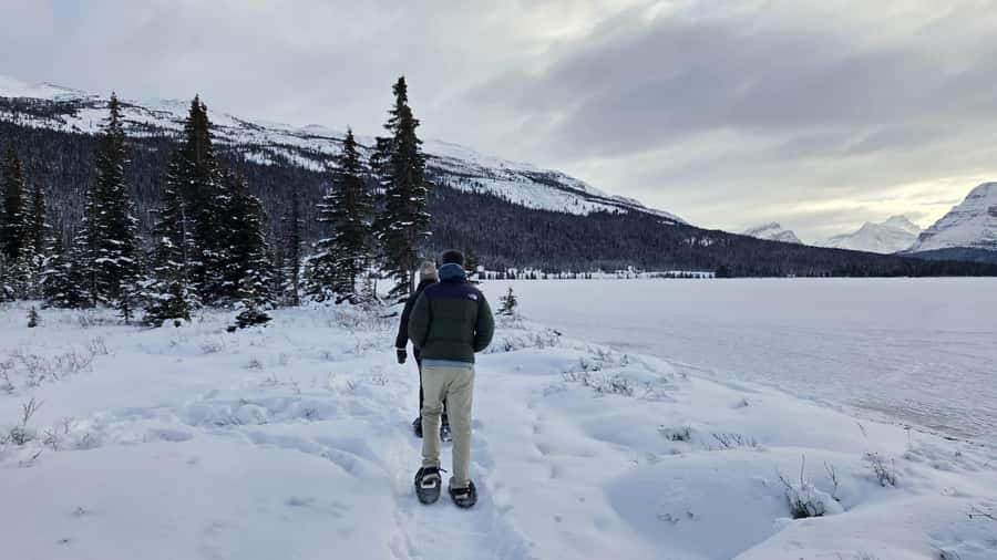Athabasca Falls/Abraham,Sunwapta Falls, Icefield, Peyto Lake - Athabasca Falls shows the force of moving water