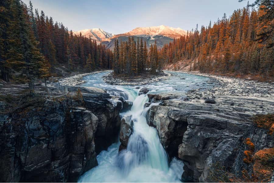Athabasca Falls/Abraham,Sunwapta Falls, Icefield, Peyto Lake - Sunwapta Falls adds another waterfall stop