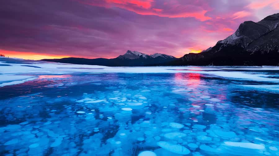 Athabasca Falls/Abraham,Sunwapta Falls, Icefield, Peyto Lake - Abraham Lake’s winter ice bubbles are a different kind of attraction