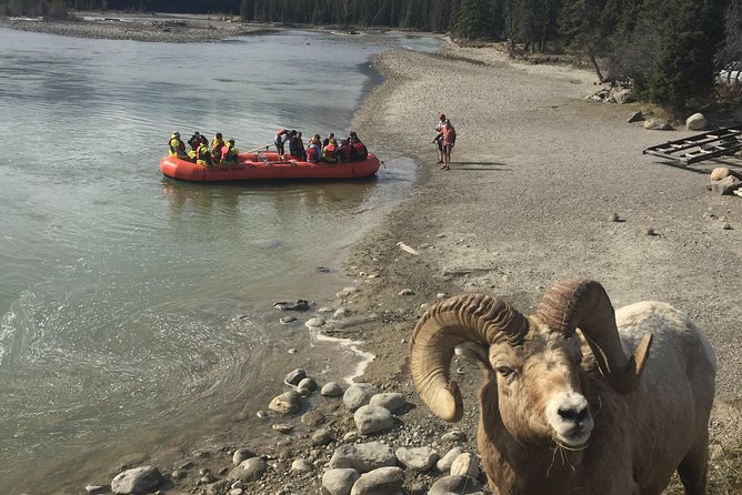 Athabasca River Easy Scenic Raft Trip - Who will enjoy this trip most?