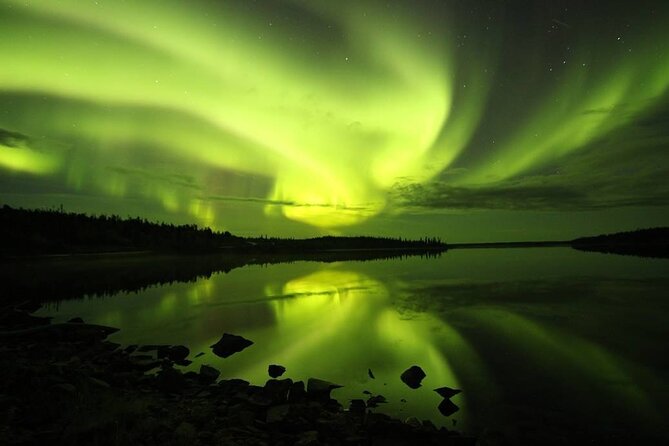 Aurora Hunting Tours - Why local guides add real value