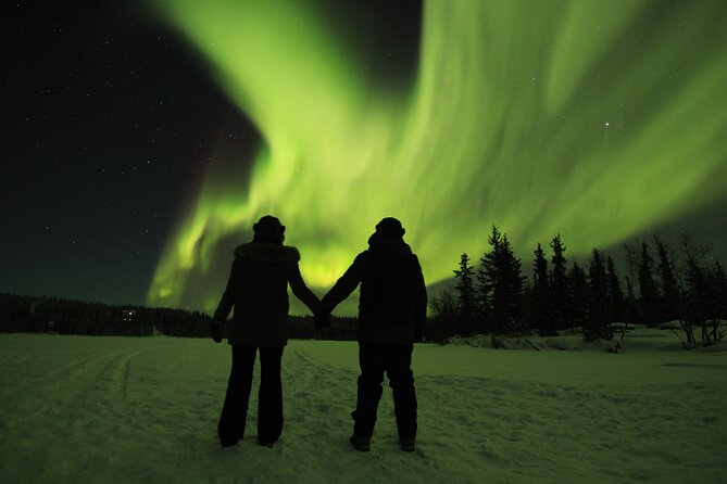 Aurora Hunting Tours - How much value you get for $134.43