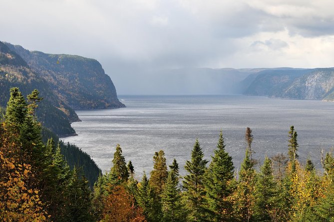 Back Country of the Fjord and the National Park - Why this tour reaches beyond the port