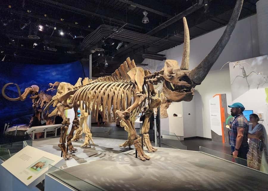 Badlands Tour: Drumheller with Museum, Hoodoos & Coal Mine - A tiny church and Drumheller’s giant dinosaur