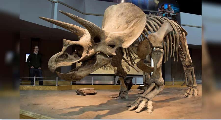 Badlands Tour: Drumheller with Museum, Hoodoos & Coal Mine - Guide quality can shape the whole day