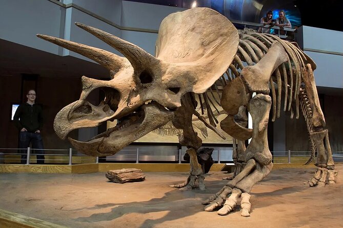 Badlands Tour: Drumheller with Museum, Hoodoos & Dinosaurs - Lunch in Drumheller and a town-sized pause