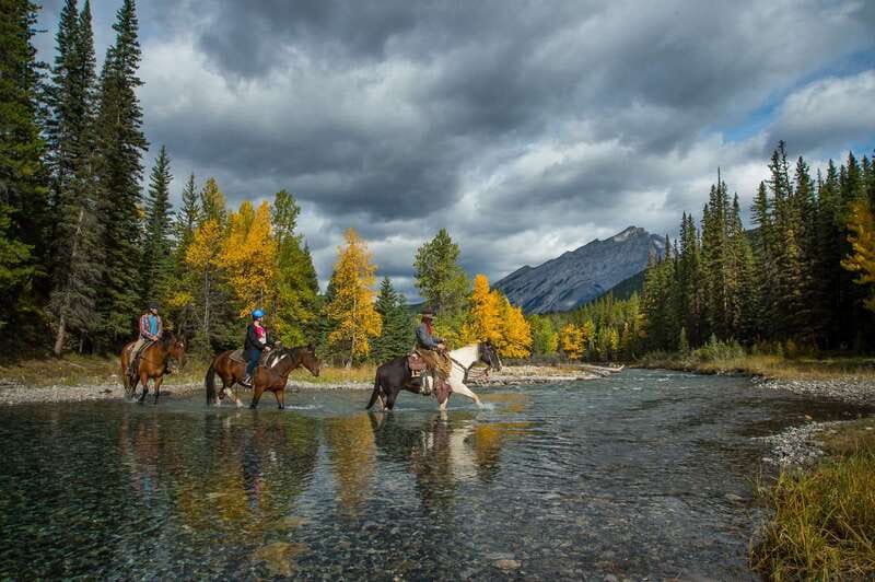 Banff: 4-Hour Sulphur Mountain Intermediate Horseback Ride - Starting at the Banff Springs Corrals