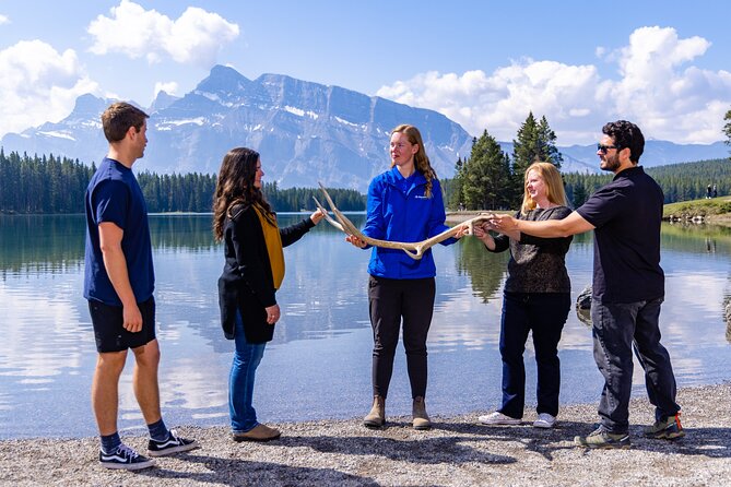 Banff and its Wildlife - Year Round Tour - Bow Falls, where the river becomes a show