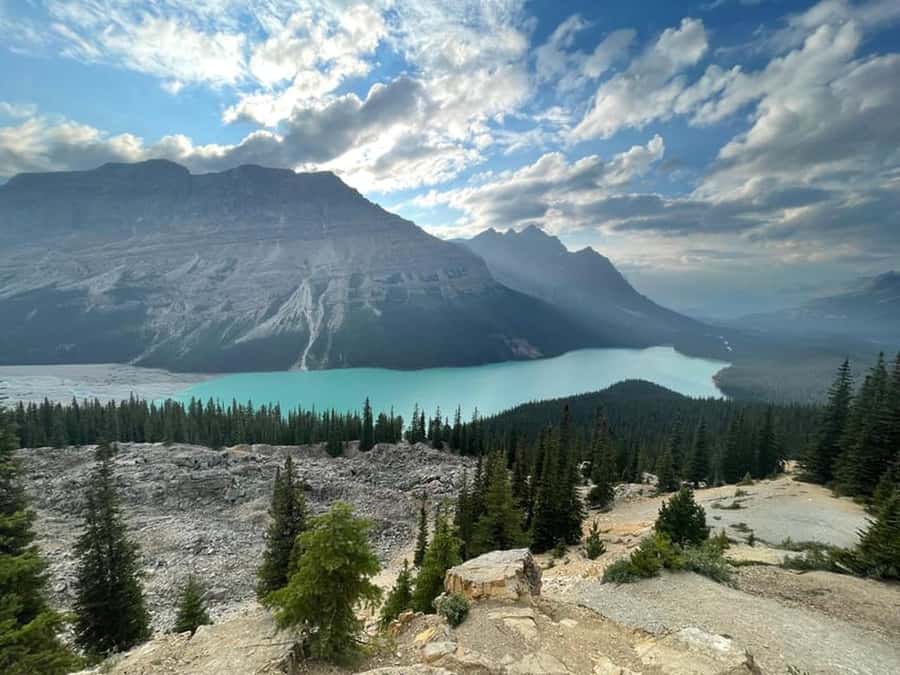 Banff and Jasper National Parks: Tour with Transport - Crowfoot Glacier, a quick stop with a climate lesson