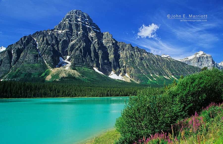 Banff and Jasper National Parks: Tour with Transport - Waterfowl Lake and Mount Chephren