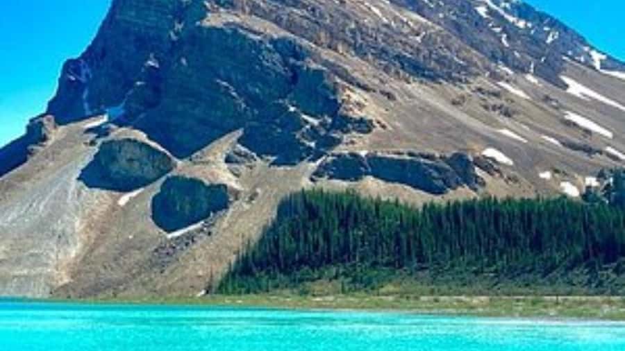 Banff/Calgary/Canmore: Crowfoot Glacier and 5 Lakes Tour - Bow Lake: broad views with little fuss