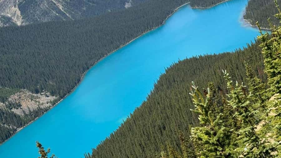 Banff/Calgary/Canmore: Crowfoot Glacier and 5 Lakes Tour - Waterfowl Lake, plus the winter change