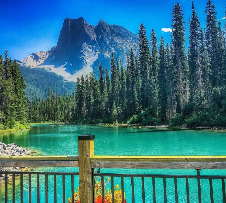 Banff/Calgary:Lake Louise,Moraine Lake,Emerald Lake Day Tour - Why this nine-hour route works