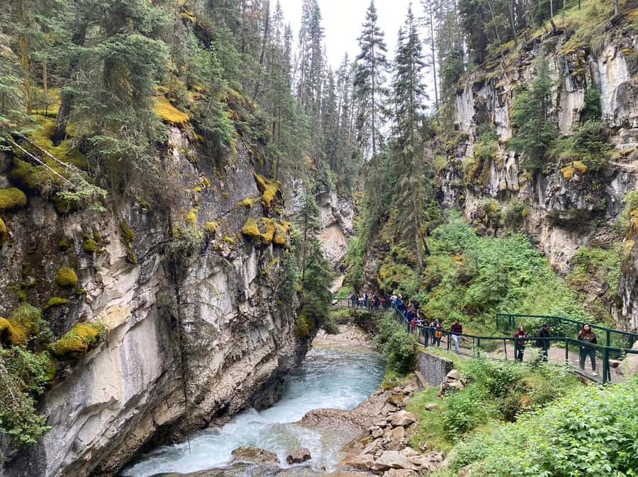 Banff/Canmore: Moraine Lake 1.5h & Lake Louise Half-Day Tour - Booking, Cancellation, and the Fine Print