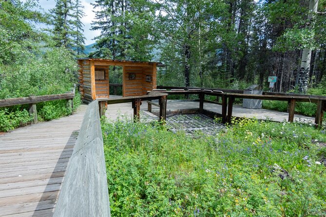 Banff Cave & Hot Springs Audio Walking Tour (Not a Ticket) - Bow River wetlands and the Marsh route