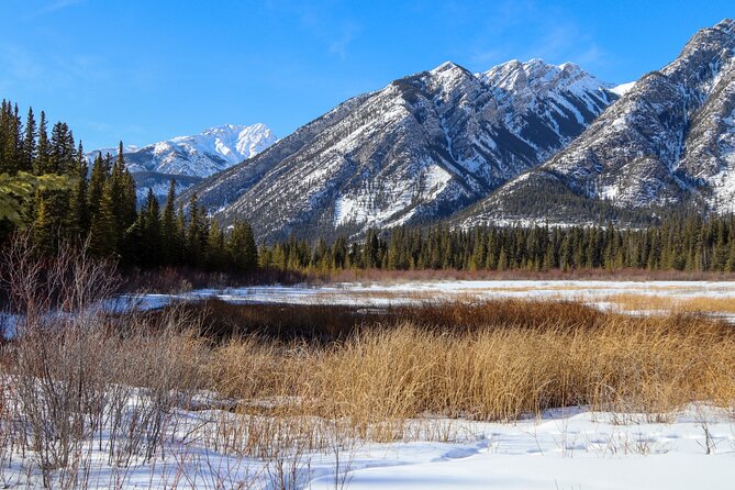 Banff Cave & Hot Springs Audio Walking Tour (Not a Ticket) - Looking toward Sulphur Mountain and the Cosmic Ray Station