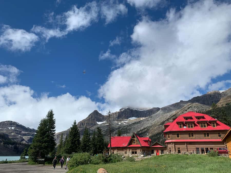 Banff: Columbia Icefield, Skywalk, Parkway, Bow & Peyto Lake - Key points to know before you book