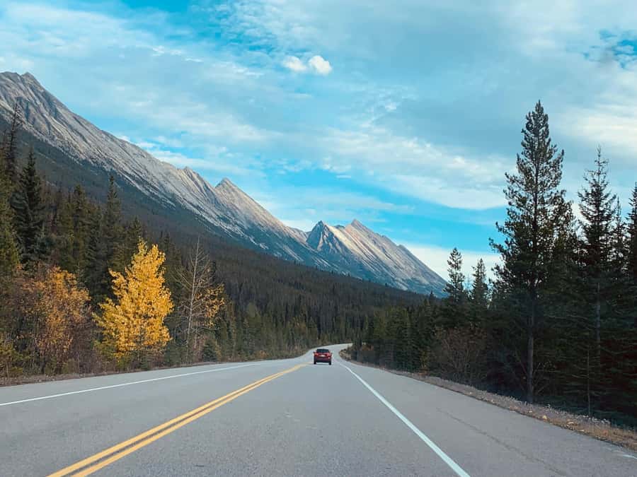 Banff: Columbia Icefield, Skywalk, Parkway, Bow & Peyto Lake - A full day on the Icefields Parkway