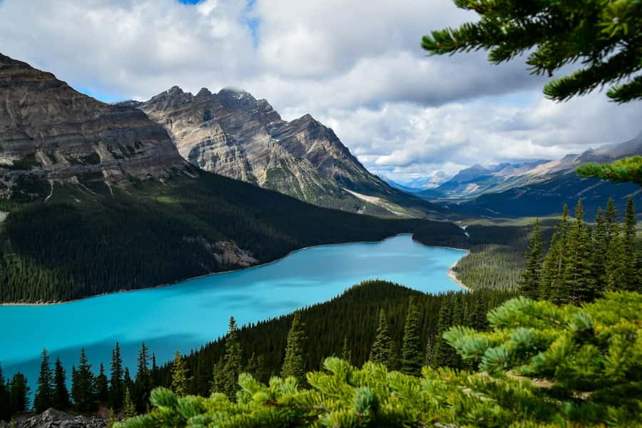 Banff: Columbia Icefield, Skywalk, Parkway, Bow & Peyto Lake - Peyto Lake and its bright blue water