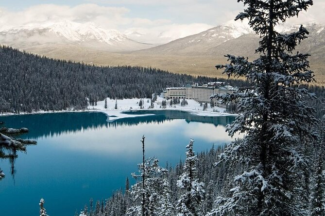 Banff Day Trip: Johnston Canyon, Fairmont Banff Springs, Gondola - Starting in Calgary and reaching Banff