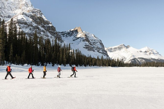 Banff Day Trip: Johnston Canyon, Fairmont Banff Springs, Gondola - Who should book this Calgary day trip