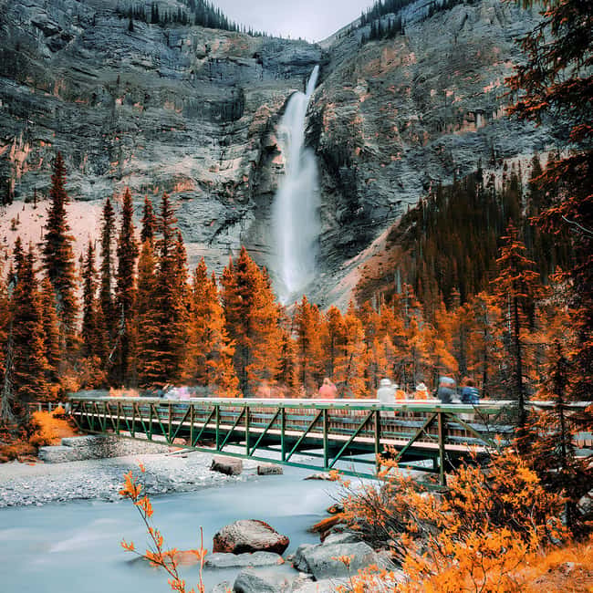 Banff: Emerald Lake, Wapta Falls & Takakkaw Falls Day Trip - Key points to know before booking