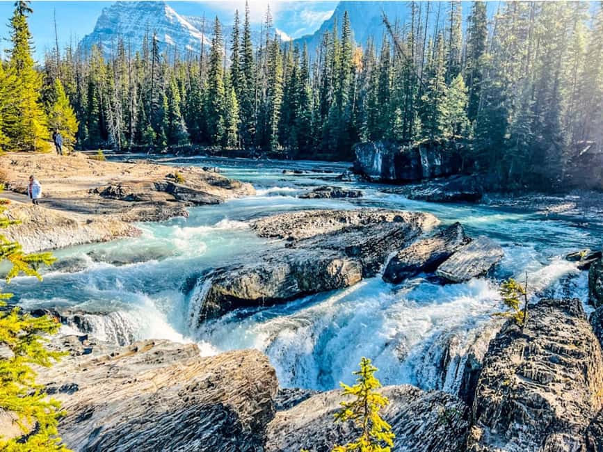 Banff: Emerald Lake, Wapta Falls & Takakkaw Falls Day Trip - Wapta Falls is the day’s real walk