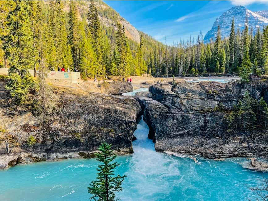 Banff: Emerald Lake, Wapta Falls & Takakkaw Falls Day Trip - Starting before the crowds from Calgary, Canmore, or Banff