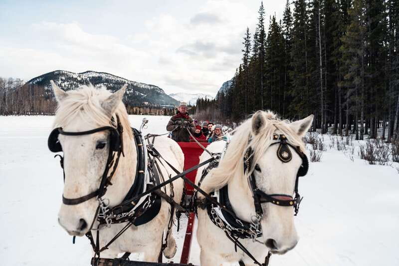 Banff: Family Friendly Horse-Drawn Sleigh Ride - Is $39 a fair price?