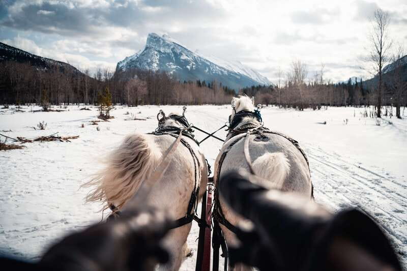 Banff: Family Friendly Horse-Drawn Sleigh Ride - Who will enjoy this Banff winter ride?