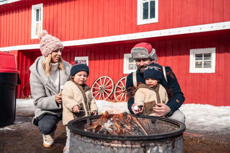 Banff: Family Friendly Horse-Drawn Sleigh Ride - Settling under the wool blankets