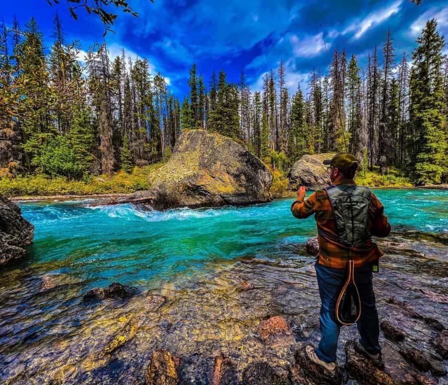 Banff: Gondola, Hot Springs, Bow falls & Three lakes tour - Lake Louise, the famous opening scene