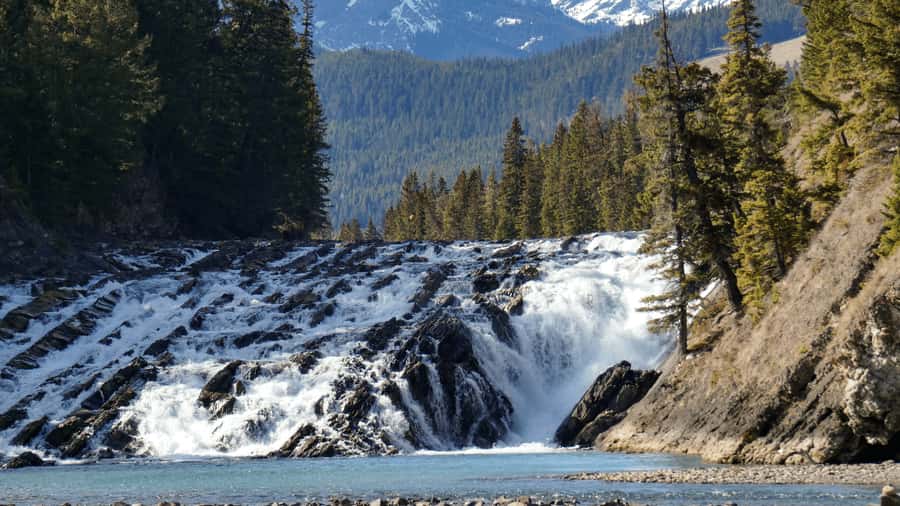 Banff: Gondola Ticket and Johnston Canyon Hiking Tour - Key points to know before booking