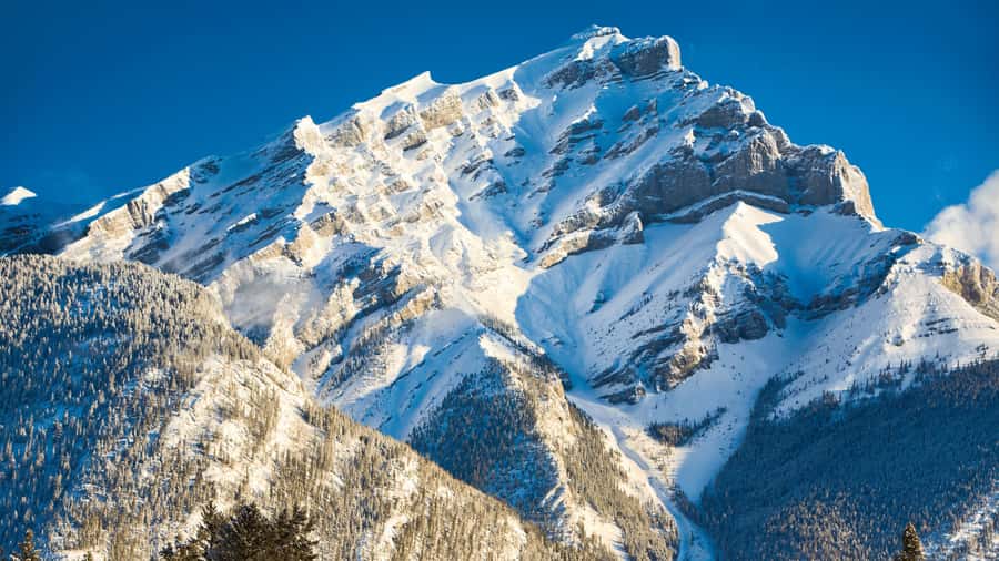 Banff: Gondola Ticket and Johnston Canyon Hiking Tour - The Banff Hoodoos and their fragile stone pillars