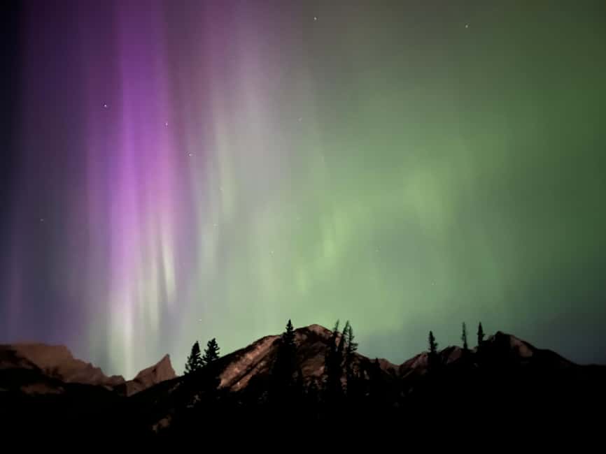 Banff: Guided Sunset and Stargazing Tour - Choosing the best season for your evening
