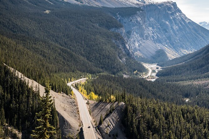 Banff Icefield Parkway Private Full Day Tour - Peyto Lake and the 1.4-kilometre walk