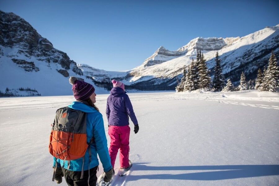 Banff: Icefields Parkway & Abraham Lake Ice Bubbles Tour - Five things to know before you book