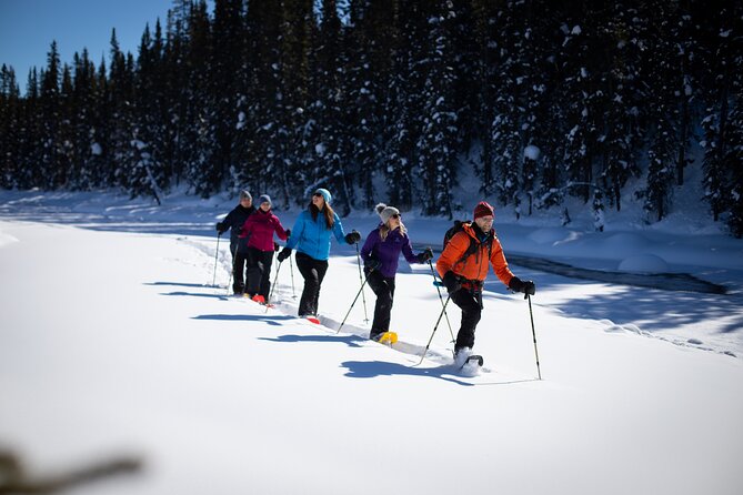 Banff, Lake Louise and Johnston Canyon - Winter Wonderland Tour - Local guides add the personal touch