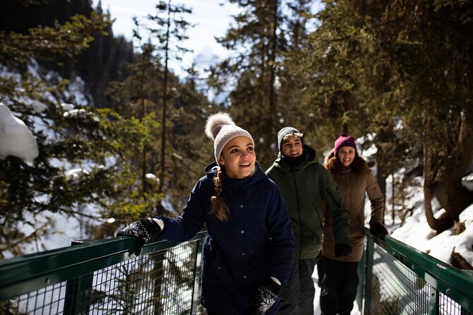 Banff, Lake Louise and Johnston Canyon - Winter Wonderland Tour - What the $180.96 price really covers