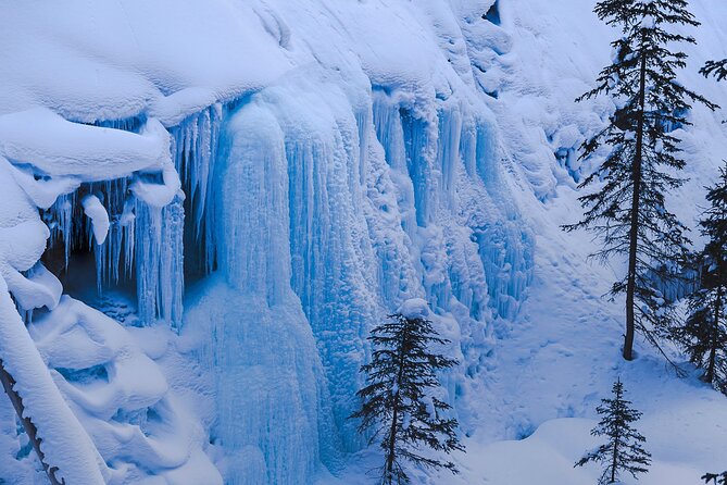 Banff, Lake Louise and Johnston Canyon - Winter Wonderland Tour - Cold-weather planning can make or break the day
