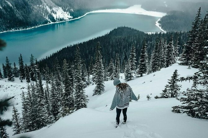 Banff: Lake Louise, Marble Canyon, Bow Lake, Peyto Lake Tour - Lake Louise: a short stop with a famous view